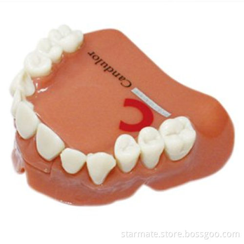 Teeth USB Flash Drive with 32MB to 16GB Capacity, Moisture Resistance, OEM and ODM Orders Welcomed